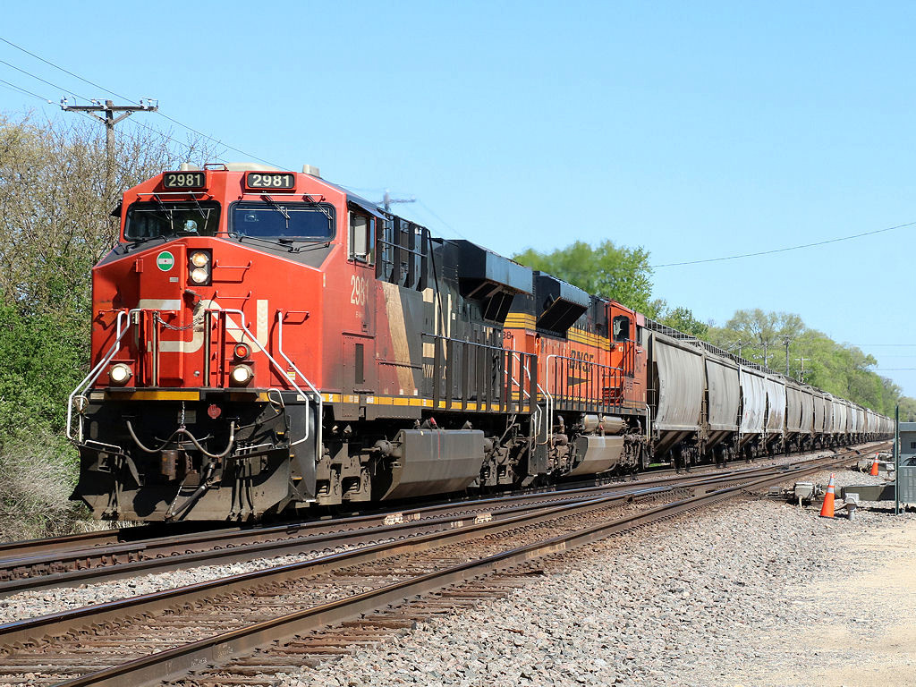 CN 2981